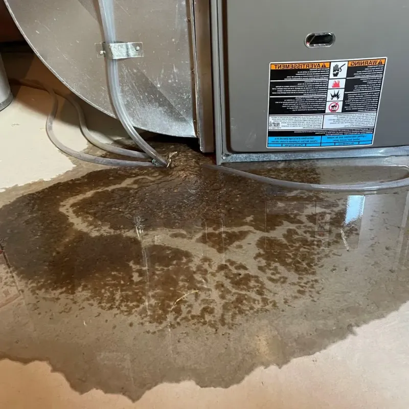 Pipe Burst and Leak Restoration in Kamas, UT